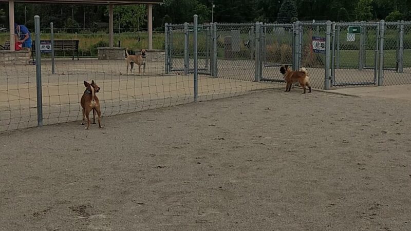 Lower Rock Run Preserve - McClintock Road Access - Channahon, IL