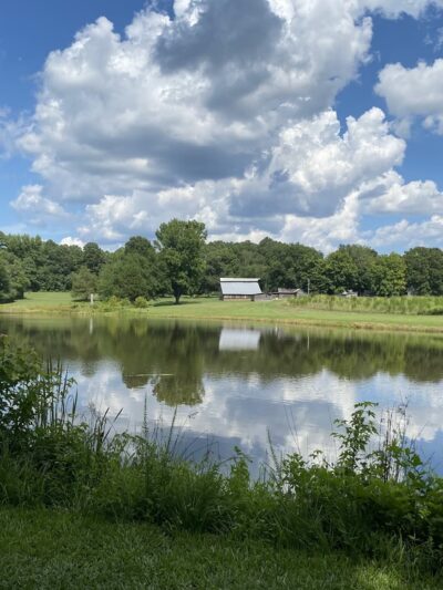 Blackwood Farm Park - Chapel Hill, NC