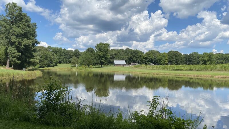 Blackwood Farm Park - Chapel Hill, NC