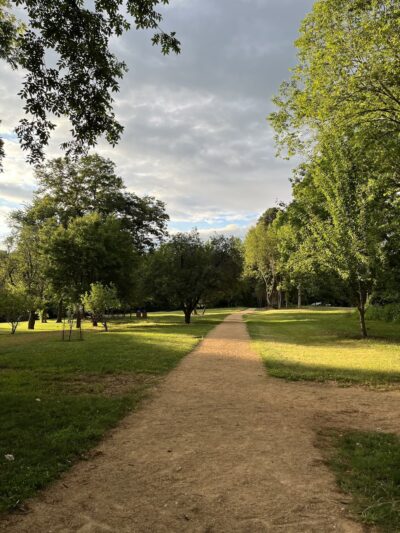 Blackwood Farm Park - Chapel Hill, NC
