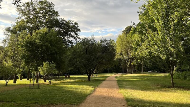 Blackwood Farm Park - Chapel Hill, NC