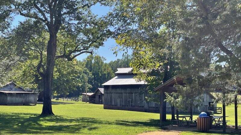 Blackwood Farm Park - Chapel Hill, NC
