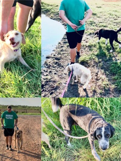 Chappell Hill Pet Resort - Chappell Hill, TX