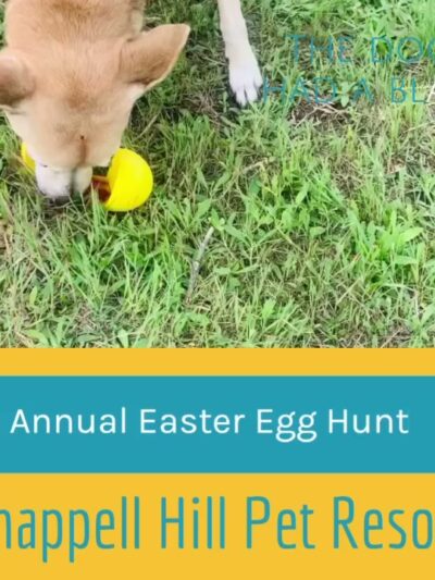 Chappell Hill Pet Resort - Chappell Hill, TX