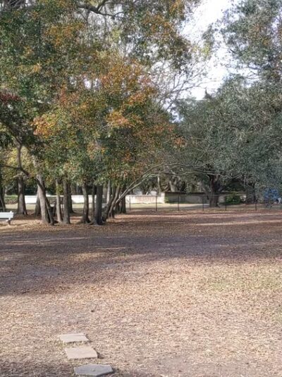 Ackerman Dog Park - Charleston, SC