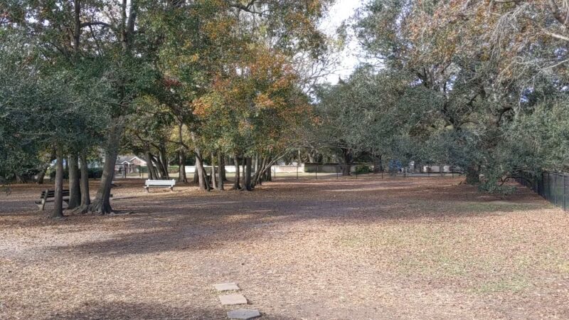 Ackerman Dog Park - Charleston, SC