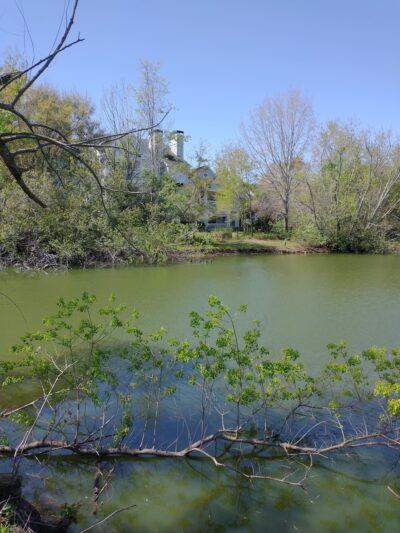 Ackerman Park - Charleston, SC