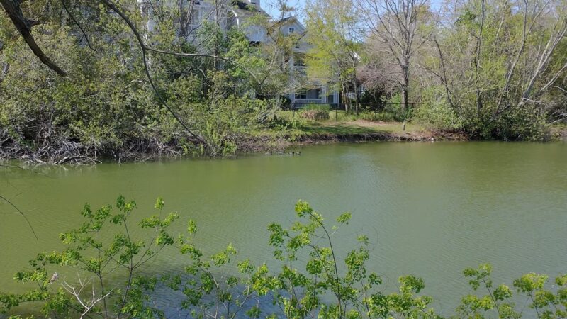 Ackerman Park - Charleston, SC