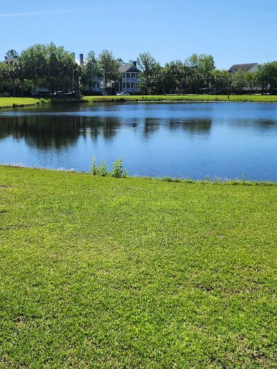 Bellinger Island - Charleston, SC