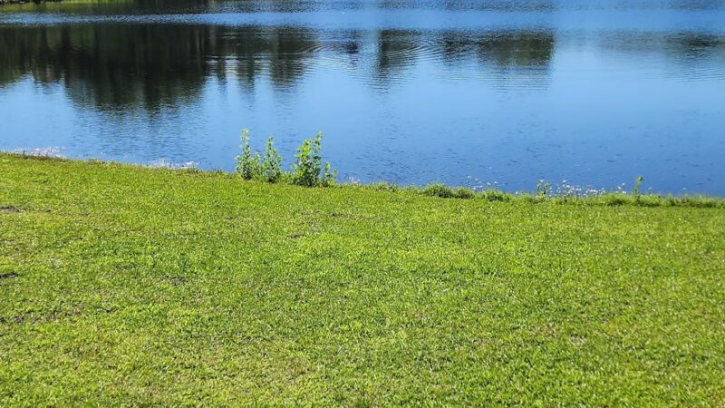 Bellinger Island - Charleston, SC