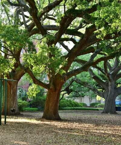 Cannon Park - Charleston, SC