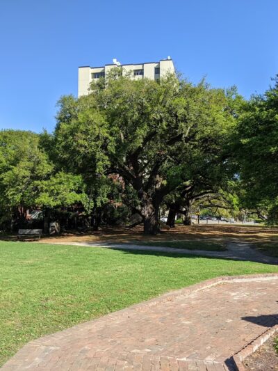 Cannon Park - Charleston, SC