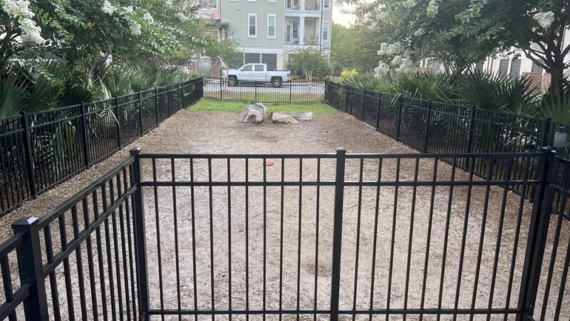 Dog Park - Charleston, SC