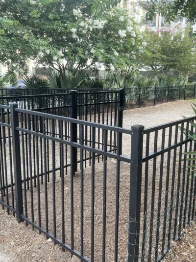 Dog park - Charleston, SC