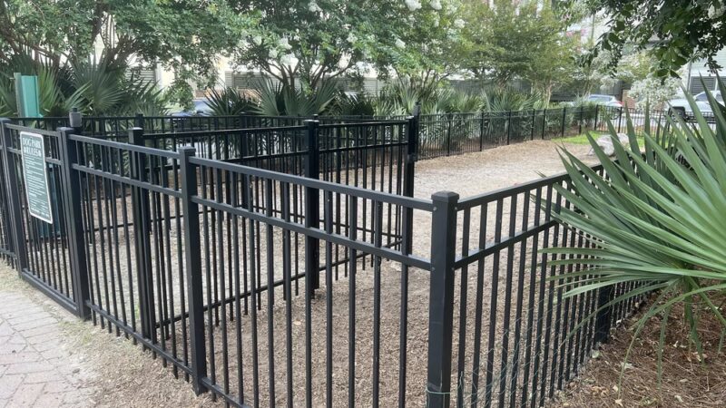 Dog park - Charleston, SC