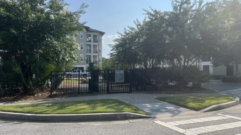 Dog park - Charleston, SC