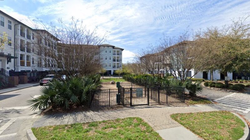 Dog park - Charleston, SC