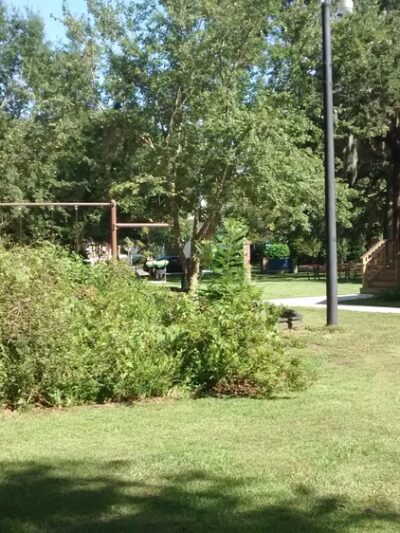 Dogwood Park - Charleston, SC