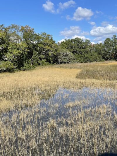 Governors Park - Charleston, SC