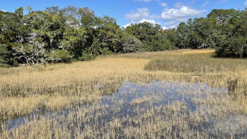Governors Park - Charleston, SC