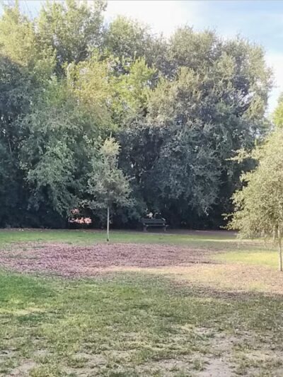 Hampton Park Dog Run - Charleston, SC