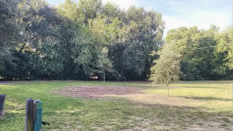 Hampton Park Dog Run - Charleston, SC