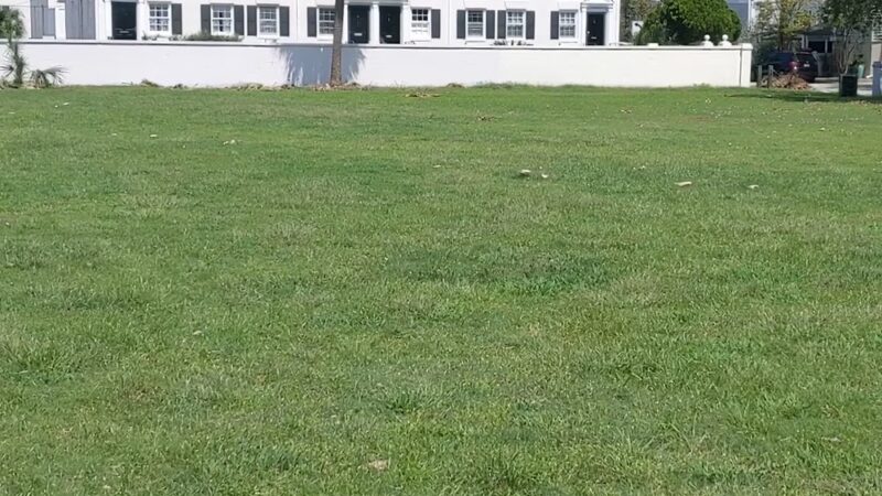 Horse Lot Park - Charleston, SC