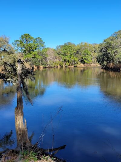 West Ashley Park - Charleston, SC