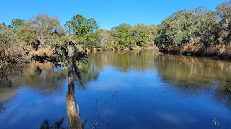 West Ashley Park - Charleston, SC