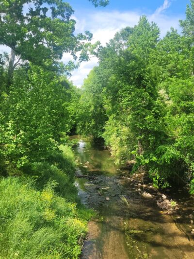 Briar Creek Greenway (Randolph Road) - Charlotte, NC