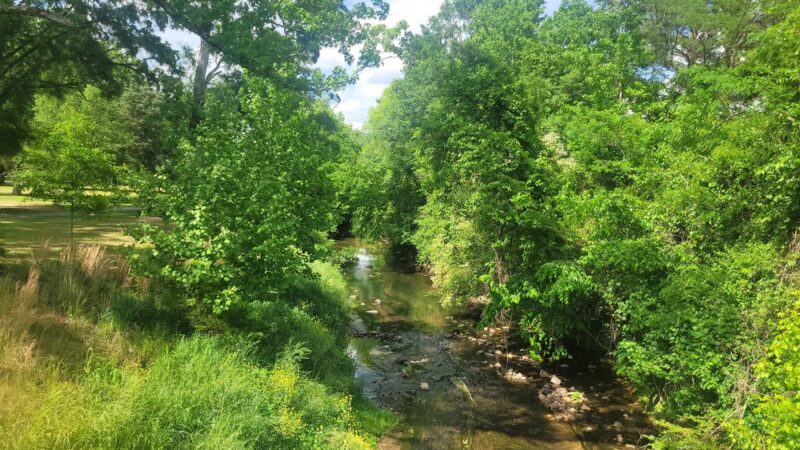 Briar Creek Greenway (Randolph Road) - Charlotte, NC