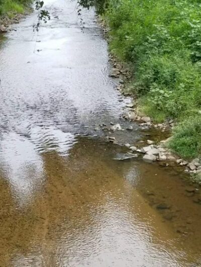 Briar Creek Greenway (Randolph Road) - Charlotte, NC