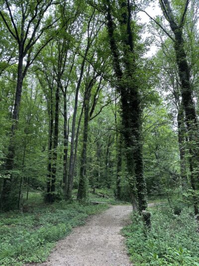 Cedarwood Park - Charlotte, NC