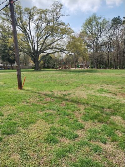 Cedarwood Park - Charlotte, NC