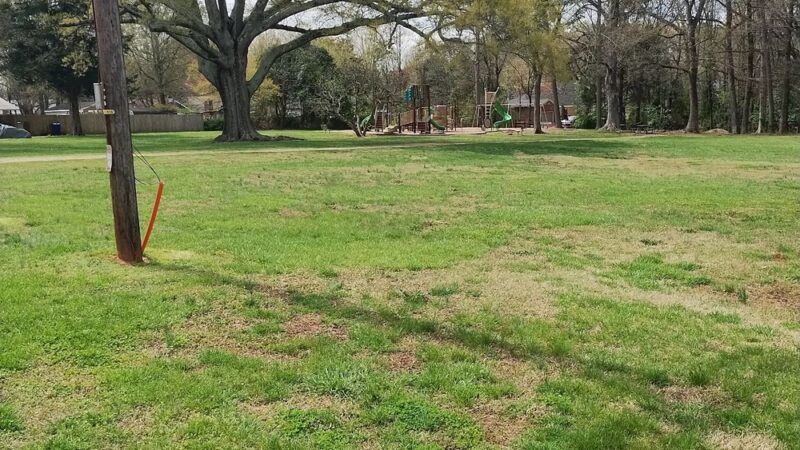 Cedarwood Park - Charlotte, NC