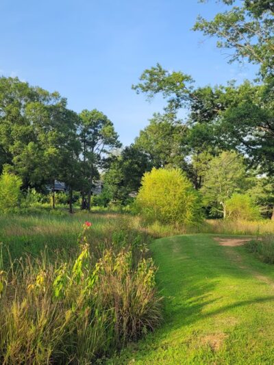 Chantilly Park - Charlotte, NC