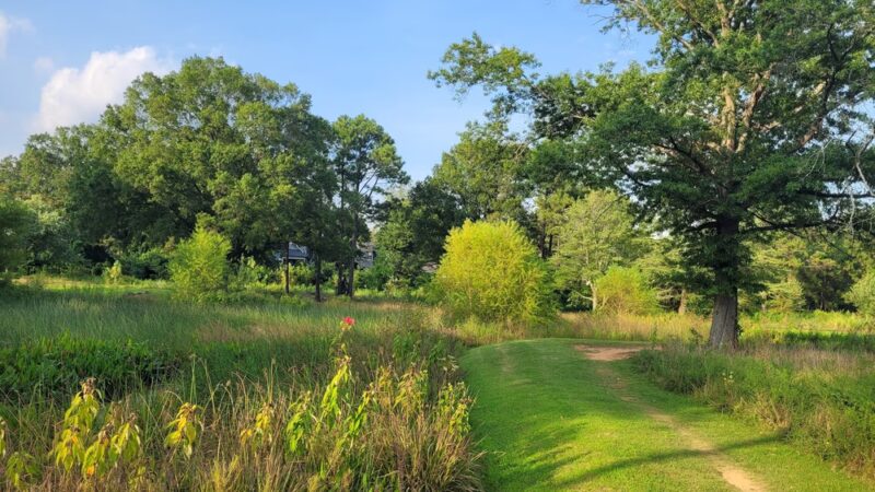Chantilly Park - Charlotte, NC