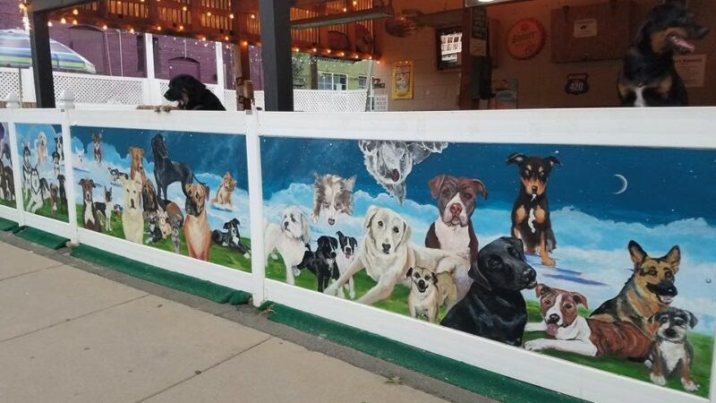 Dog Bar - Charlotte - Charlotte, NC