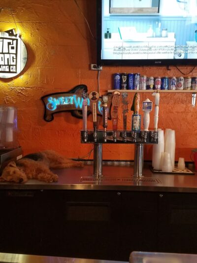 Dog Bar - Charlotte - Charlotte, NC