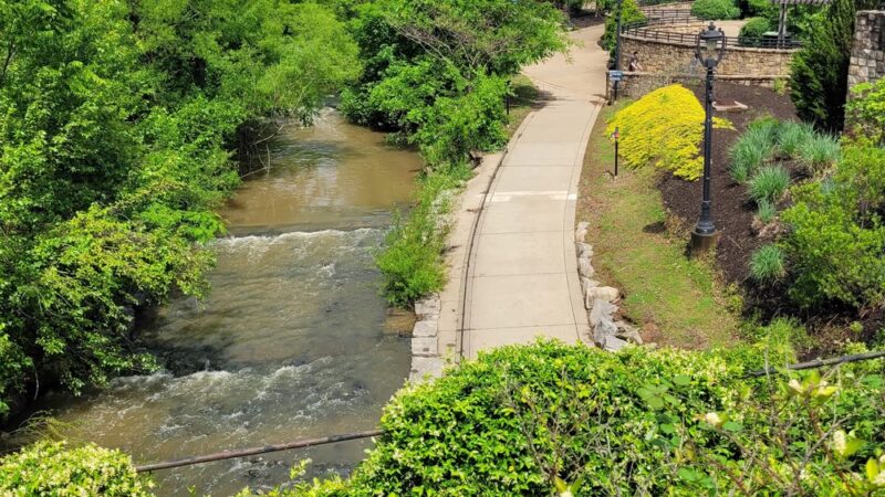 Elizabeth Park - Charlotte, NC