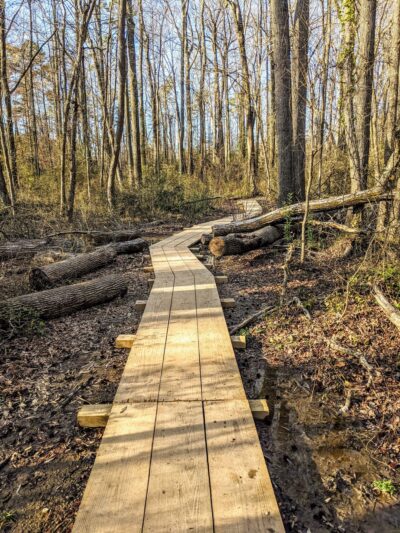 Evergreen Nature Preserve - Charlotte, NC