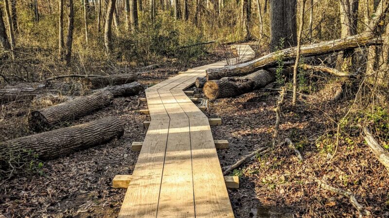 Evergreen Nature Preserve - Charlotte, NC