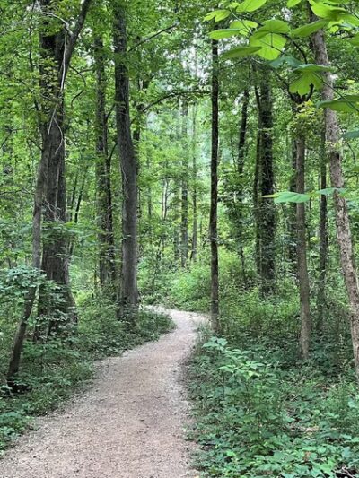 Evergreen Nature Preserve - Charlotte, NC