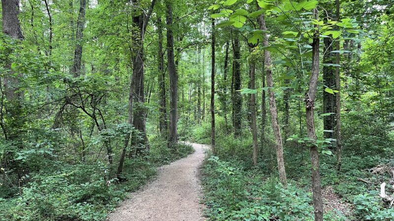 Evergreen Nature Preserve - Charlotte, NC