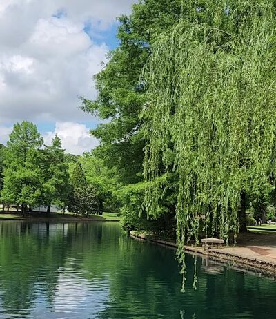 Freedom Park - Charlotte, NC