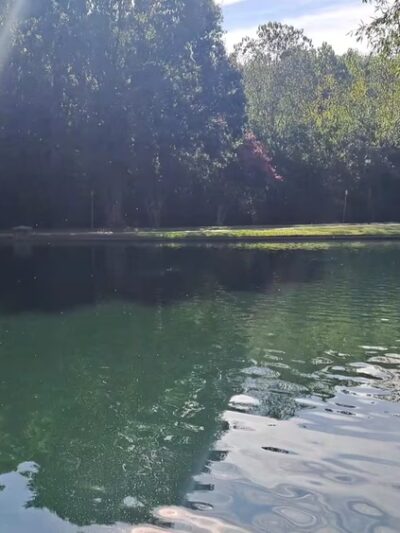 Freedom Park - Charlotte, NC