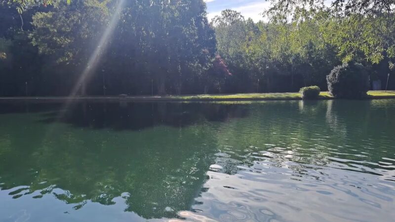 Freedom Park - Charlotte, NC