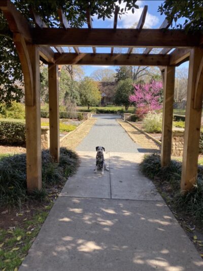 Independence Park - Charlotte, NC