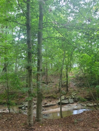 Mallard Creek Greenway - West Terminus - Charlotte, NC