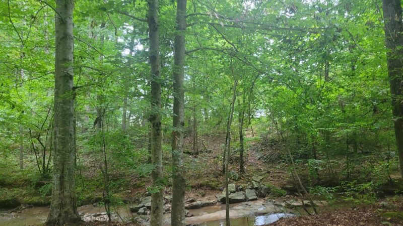 Mallard Creek Greenway - West Terminus - Charlotte, NC